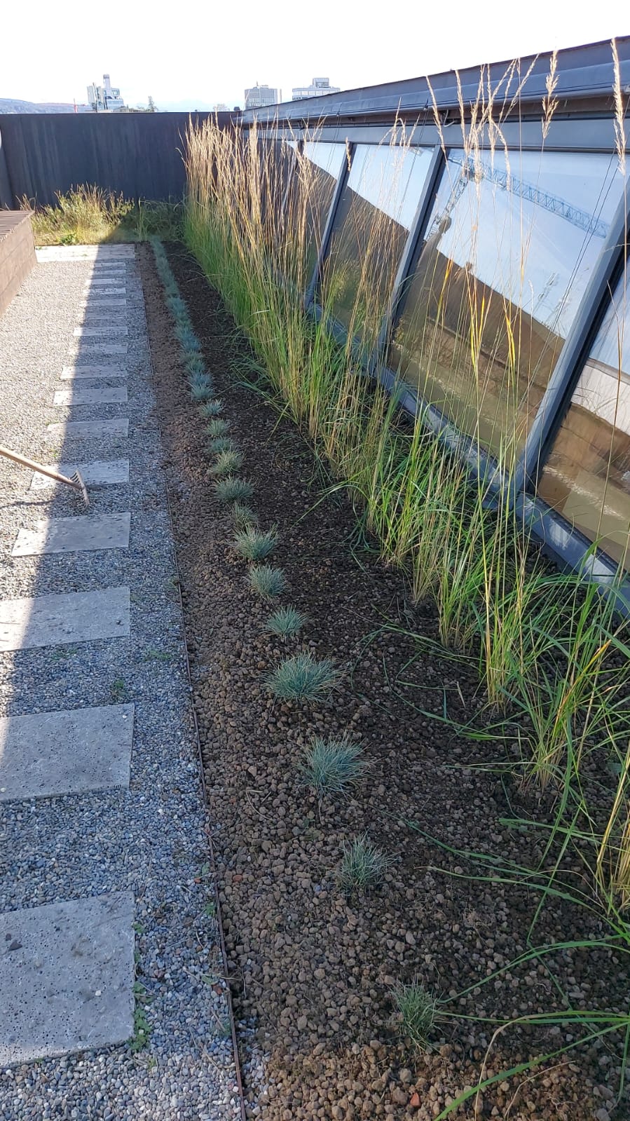 Garden Design example 3