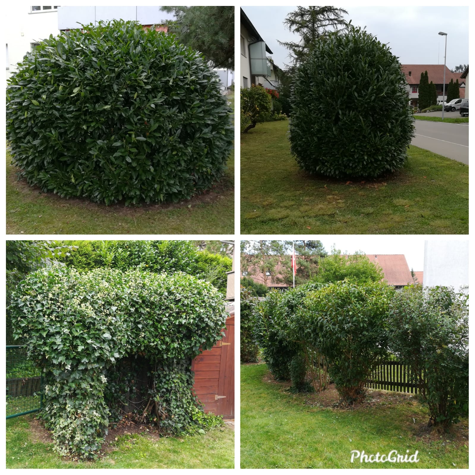 Garden Design example 4