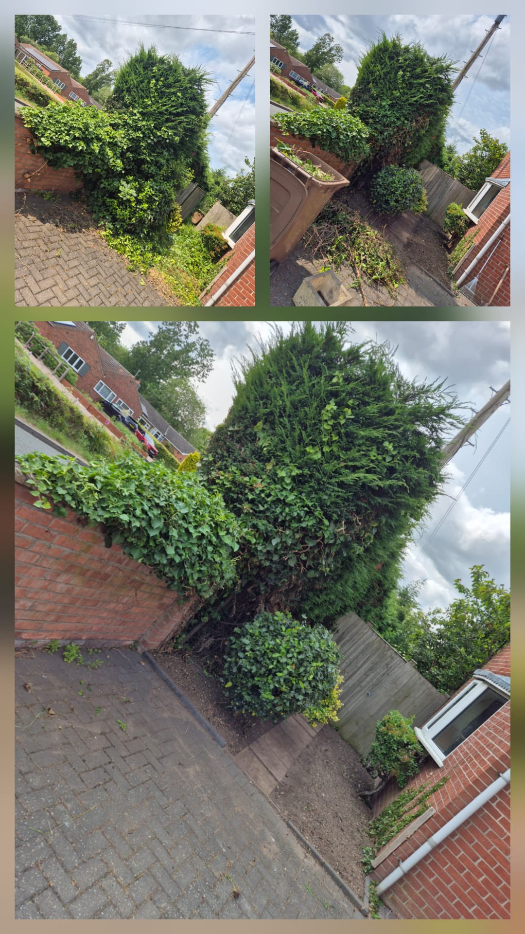 Garden Design example 5