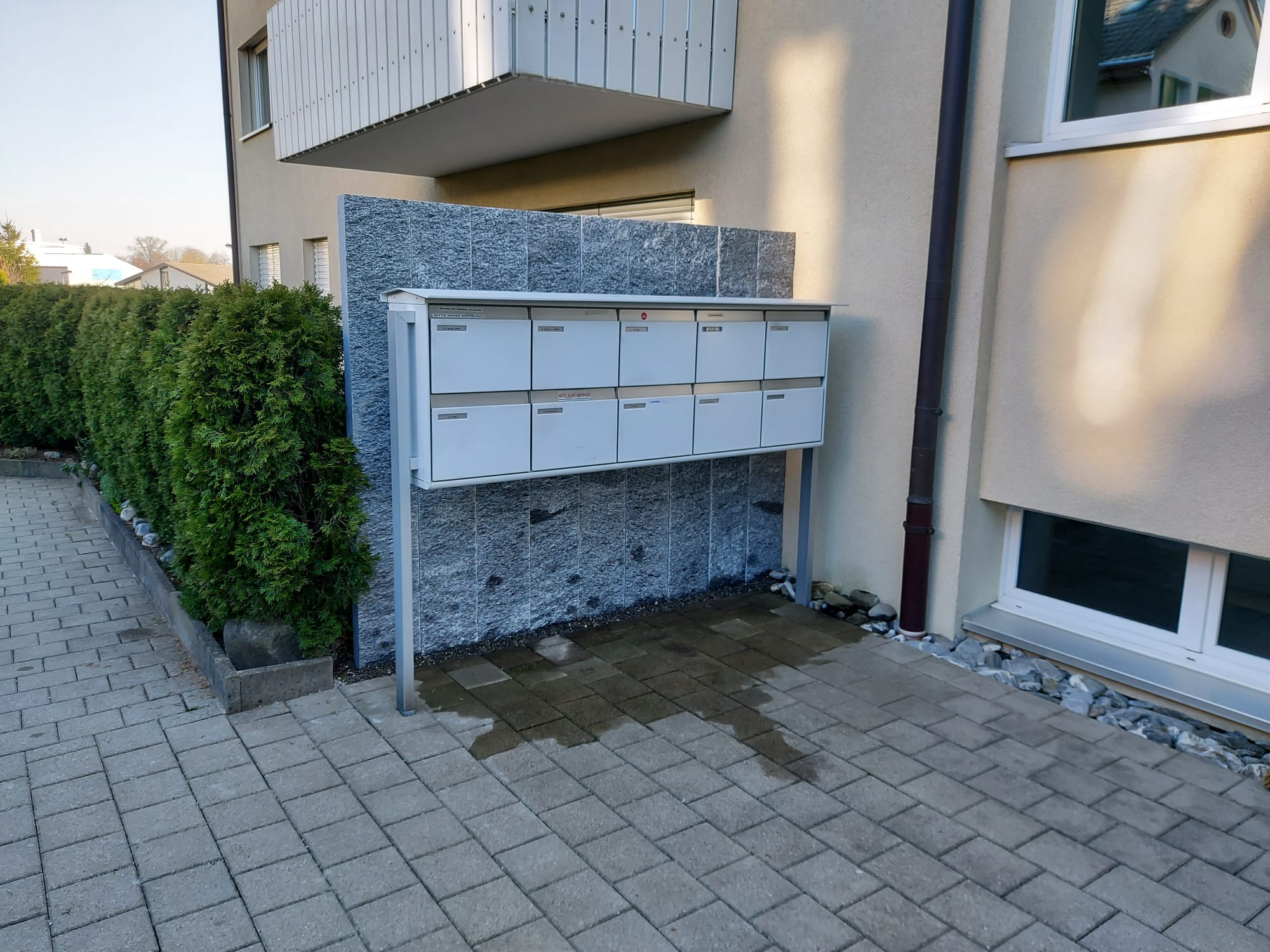 Fencing & Decking example 4