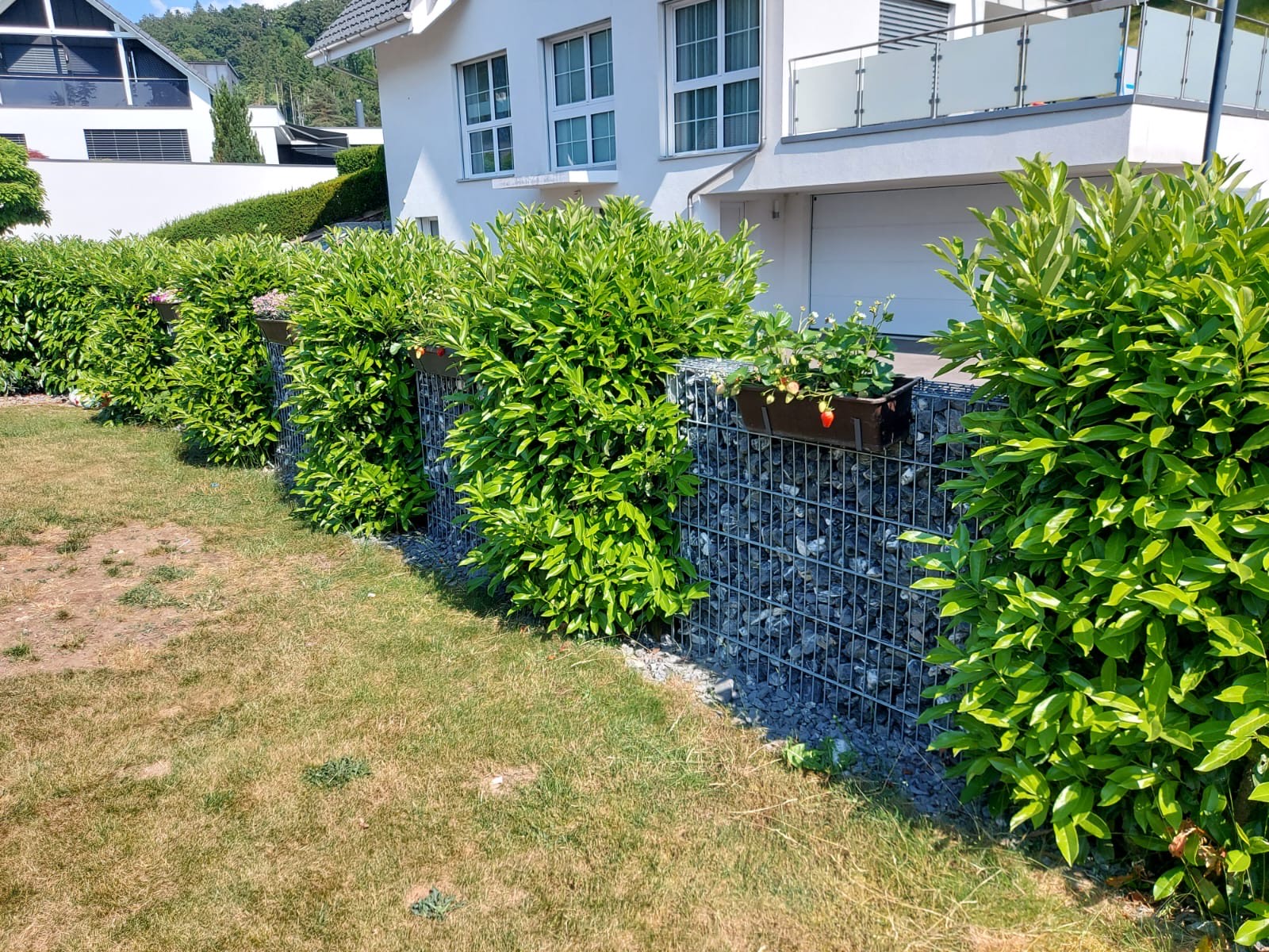 Landscaping work sample